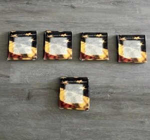 1999-2003�N �B�N�H�[�^�[�v���O���� ������