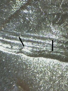 1951�N �t�����N���� �n�[�t DDR �{�g���I�u�x�� �o���G�e�B �W�F�� BU JM5