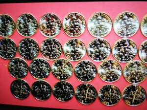 2009-2025-P&D ���[�Y�x���g �_�C�� 34-BU-UNC �R�C�� �R���v���[�g�Z�b�g