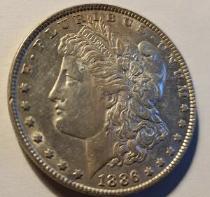 1886-P �����K����� �u���C�g�z���C�g �V���[�v�ł��ꂢ�ȑō�