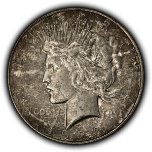 1923-D 1�h����ݕ��a�h�� - VAM-1K �_�C�u���C�N�A�o�E�g1 R-6 - SKU-D6745