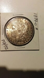 1899-O ���[�K���E�_���[ �������Ԃ݂��������F�� �������ō� ������ MB/992