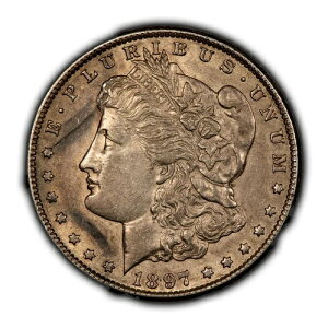 1897-S 1�h�� �����K����� - ���X�^�[ - �I�[�X�g�����A �Z�~�L�[�f�[�g - SKU-D5129