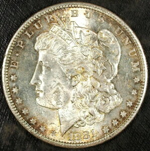 1881�N S ���[�K����� ���� ������ �y���g�[�� ���� �Z�b�g�ɍœK 151