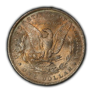 1883-O 1�h�������K����� - �J���t���g�[�j���O - BU - SKU-D6215