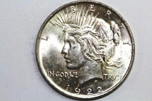 1922-P 90%��� �s�[�X�_���[ �O���[�f�B���O �~���g�X�e�[�g (PDX2727)