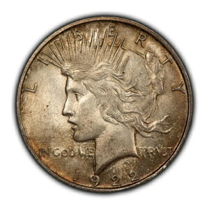 1922-D 1�h����݃s�[�X�_���[ - ����d�グ - �Z�~�L�[�f�[�g - SKU-D4711