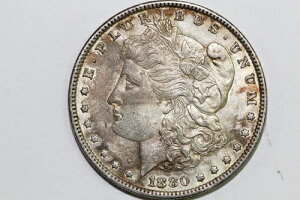 1880-O �����K�� 90% ��� �O���[�h �G�N�X�g���[���E�t�@�C�� (MDX4879)