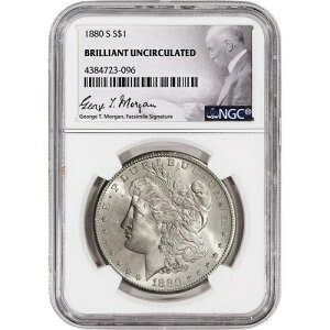 1880�N S �č� �����K����� 1�h�� - NGC�u�����A���g ������