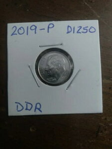 2019-P �_�C�����܂�����_�C�G���[�Ɍ�������
