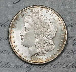 1879-S �����K���E�_���[ ������ MS �W�F�~�[ ���Ȃ��I #CSR6