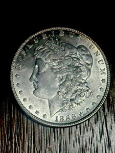 1886�N P BU ���[�K�� �V���o�[�h�� ������ �ڍ� �N���[���`�[�N