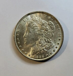 1888�N Vam Choice BU �����K����� �_�u���C���[ �������� -C8804