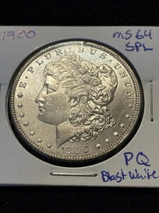 1900�N SPL �����K����� PQ �n�C�O���[�h UNC �u���X�g�z���C�g�A�������R�C��