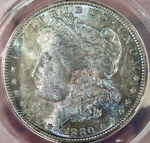 1880�N S���[�K���V���o�[�h�� ANACS MS63 �j�b�L�[�g�[��-