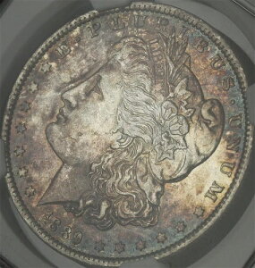 1889-O �����K�� �_���[ NGC AU-53 - �\�ʃ^�u���Ɛ[�g�F�ɕϐF!