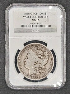 1888-O�i�_�u���_�C�\�ʁu�z�b�g���b�v�X�vVAM-4�j�����K���E�_���[ | NGC VG10