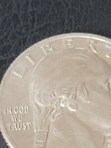 2024�N P �N�H�[�^�[�G���[�R�C���uCOD��M������vNM-MINT ���ɗǂ����