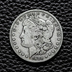 (ITM-6503) 1880-P �����K�� �_���[ ~ �ǍD (F / FN) ��� ~ ��������!