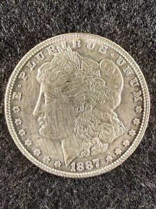 1887 P �����K�� �_���[ 90% �� - ���ʕi - ��������!