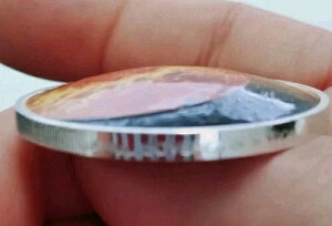 ���� - ���z�n 2021 1�I���X �V���o�[ �h�[���^�R�C�� �J�v�Z������ (�W������... ���z��)