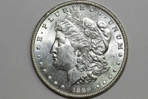 1889�N -P���[�K��90%�V���o�[ �h���u���X�g �z���C�g�O���[�h �~���g �X�e�[�g (MDX4536)-