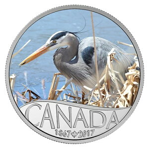 2017�N �J�i�_��150�Ԗڂ̃I�I�A�I�T�M�L�O 1/2�I���X�����