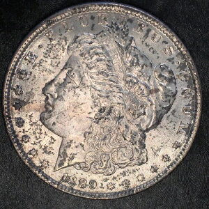 1889�N �����K����� - �g�[���t�������ʕi - ���i���X�L���� #E148