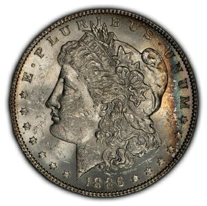 1886�N 1�h�� �����K����� - ���C���{�[�N���Z���g�� - �t���X�e�BBU - SKU-D3400