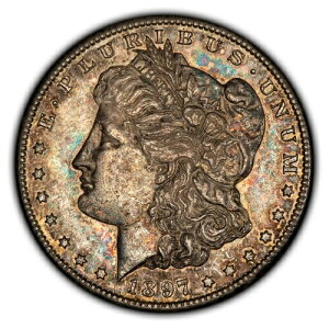 1897-S 1�h�������K���E�_���[ - ���C���{�[���ʃg�[�j���O - �I�[�X�g�����A���L�[���t - D4161