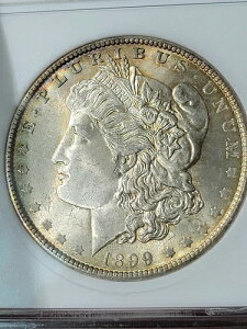 1899 0 1�h�� �����K���h�� ANACS �\�[�v�{�b�N�X MS63 �g�[�� #1327536