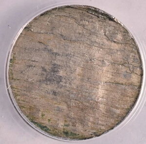 Liberty V Nickel - ANACS VG 10 - �X�g���C�N��̎��R����-