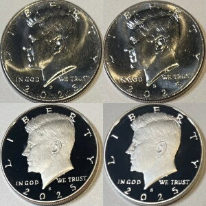 2025�N�P�l�f�B�n�[�tPDSS 4���Z�b�g �N���b�h��99.9%�V���o�[�v���[�t �C���z���_�[�t��