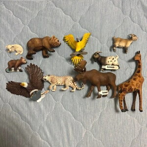 �V�����C�q �~�j�`���A�����t�B�M���A 10�Z�b�g