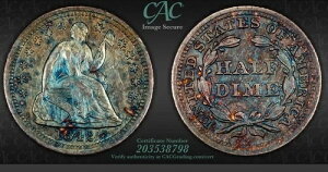 1842�N �n�[�t�_�C�� CAC �O���[�f�B���O AU �f�B�e�[�� �^���[���g�[�j���O �f���炵���F !!-