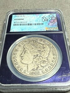 1890�NCC�����K����݃J�[�\���V�e�BNGC�p�[�v���R�A�D�ꂽ�f�B�e�[��