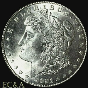1921�N ���[�K�� �V���o�[�h���A���Ɋ� (R-6) VAM-3GK2 �N���őf���炵����i (M-303)