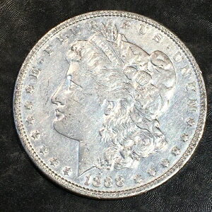 1888�N�����K���E�_���[ - ���i���X�L���� #N541