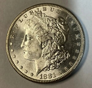 (D2) 1881-S BU �����K����݁i�j���[�I�[���h���[�����j