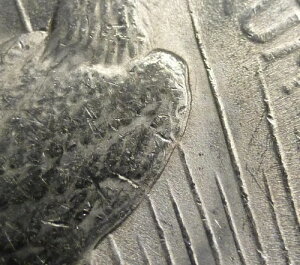 1922�N ANACS MS 62 DDR ���a��� (VAM-7B DDR Wing Top-50 Variety)