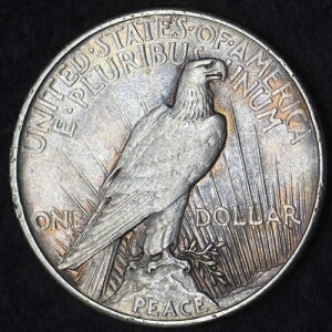 1921-P�u�y���F������������������v�s�[�X�V���o�[�h�� 1�h�� - COINGIANTS -