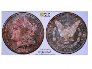 1882-S ���[�K���E�_���[ 64 DMPL VAM 17 �_�u���f�C�g S/S �f�B�[�v�J���I 2x �g�[�� PCGS