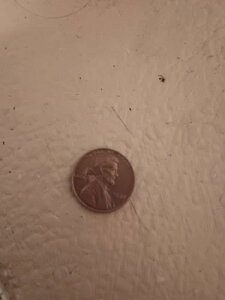 ?? ���A�R�C�� ??1970P �����J�[�� �y�j�[ DDO DDR �ǉ��R���� #5 #7 DDO DDR�B