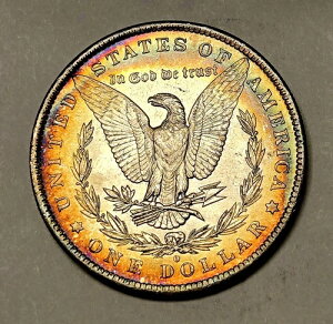 1884�N O �����K���E�_���[ �{���̃��C���{�[�g�[�� ���~/���[���ۗL�� �{���̕�΃O���[�h