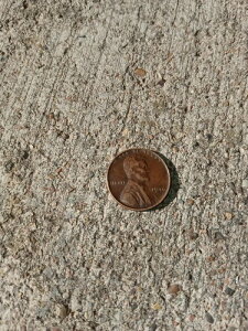 1946�N P �����J�[�� �E�B�[�g �Z���g / �y�j�[ AVE ���� **��������**