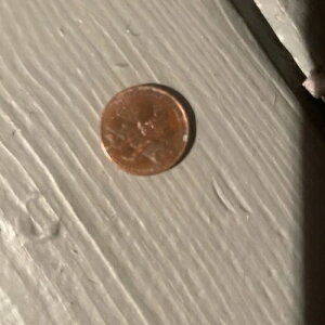 2009�N�̕č��y�j�[�͔��ɂ܂�ŁA��̏ڍׂ�����A���l�̂��邨���ɂȂ�܂�