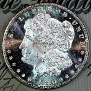 1880-CC �E���g��DMPL SUPERB+ GEM BU MS ���[�K�� �V���o�[�h�� �R���N�V���� X134���