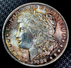 1889�N ���[�K���V���o�[�h��������-VAM�o�[�E�B���O-�g�b�v100-