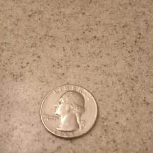 1965�N���V���g��25�Z���g��݁A�~���g�}�[�N�Ȃ��ASTATES�G���[�́uA�v���L������Ă���