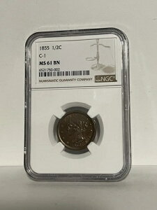 NGC MS-61 BN 1855 �҂ݍ��݃w�A �n�[�t�Z���g�A�s���ł��ꂽ����̂���W�{!